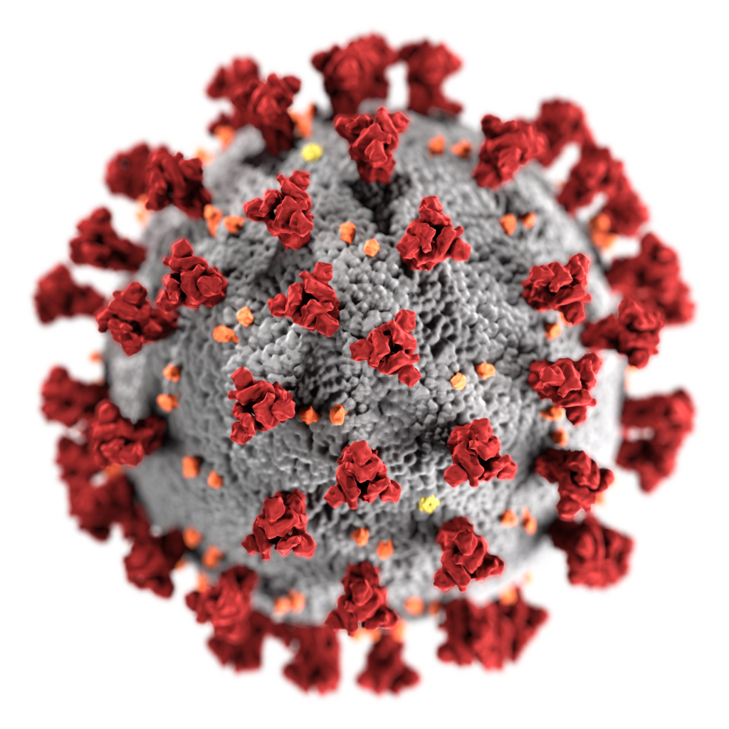 3D-Grafik des SARS-CoV-2-Virions.